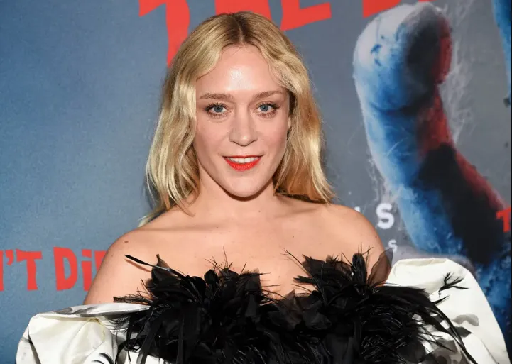 chloe sevigny net worth