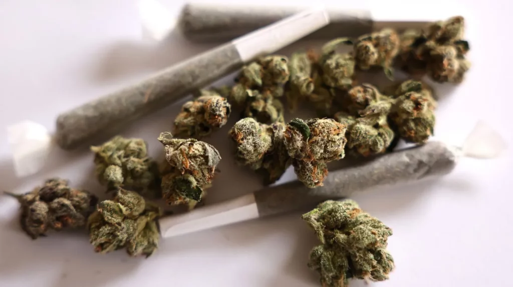 Marijuana Detox: The Safe Way to Cleanse and Take Control Once Again Marijuana Detox The Safe Way to Cleanse and Take Control Once Again