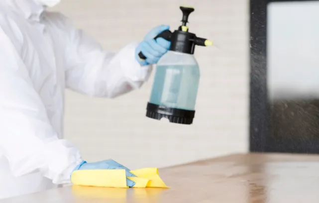 Why Professional Pest Control Is Long-Term Investment? Why Professional Pest Control Is Long-Term Investment