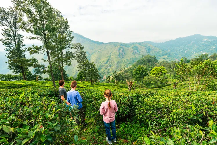 Why Sri Lanka is the Ultimate Family Holiday Destination in Asia Why Sri Lanka is the Ultimate Family Holiday Destination in Asia